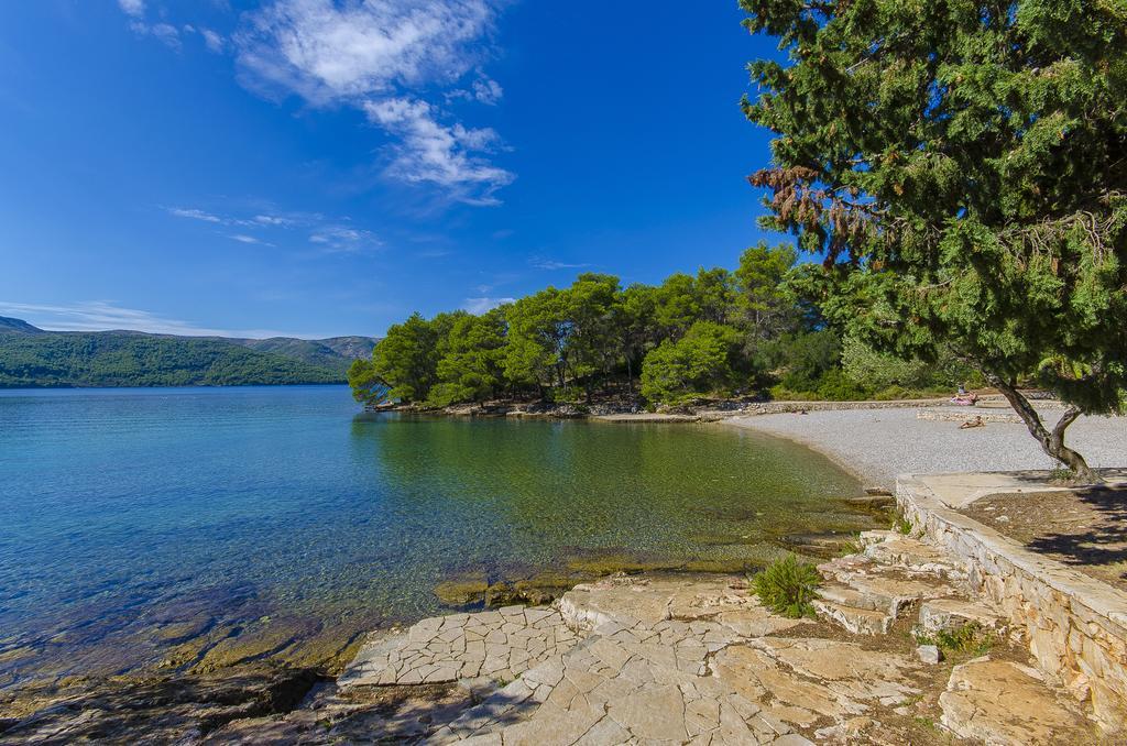 House Oliva With Private Pool And Large Garden Villa Stari Grad  Exterior foto